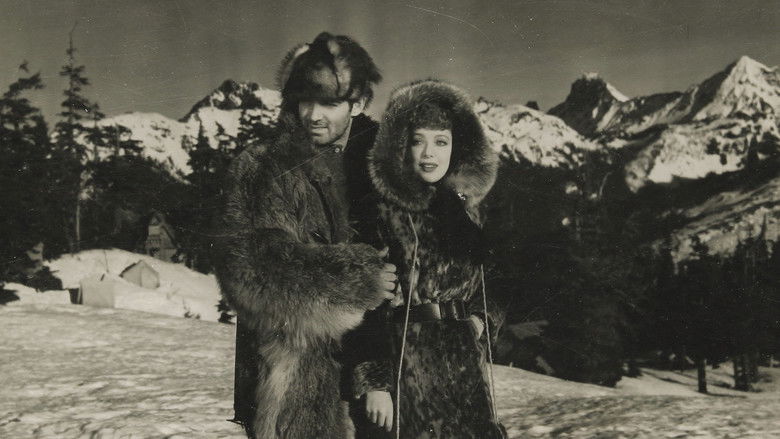 Call of the Wild still