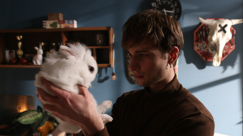 Animals in War still 4