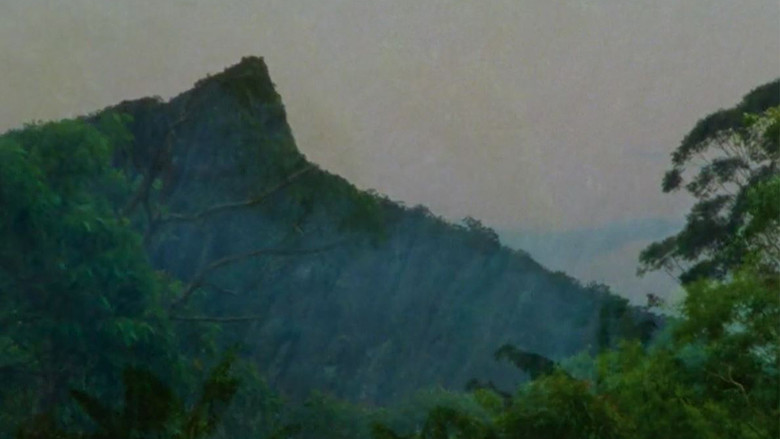 Archipelago of Earthen Bones — To Bunya still 4