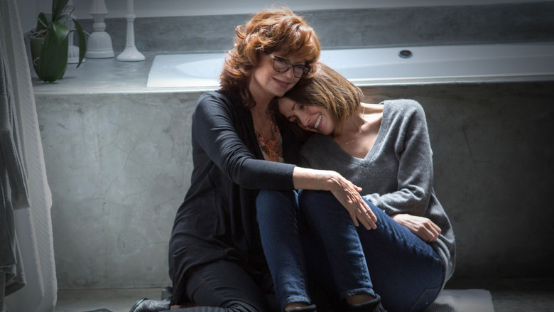 The Meddler still 2