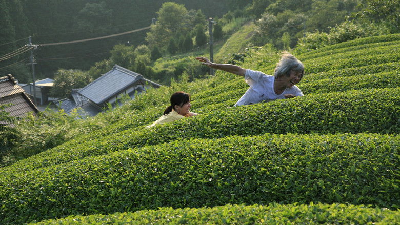 The Mourning Forest still