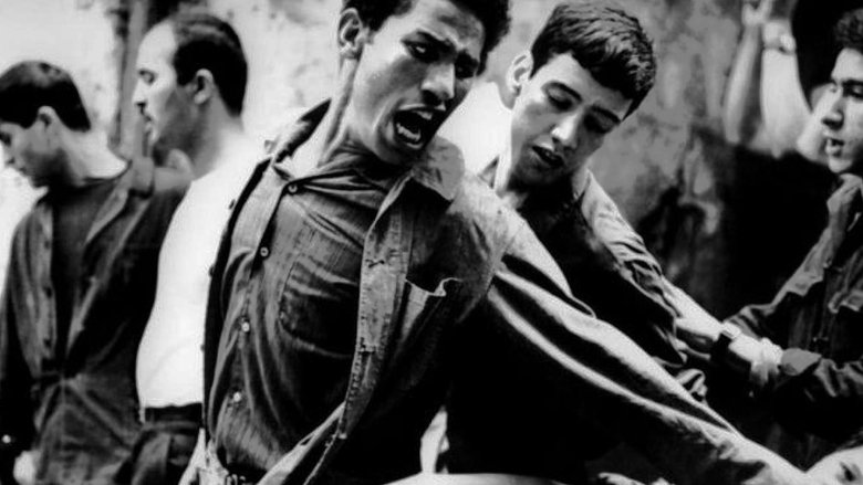 The Battle of Algiers still