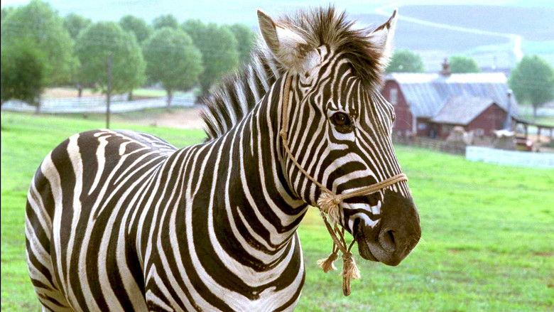 Racing Stripes still 4