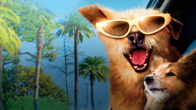 Dr. Dolittle: Million Dollar Mutts still 4