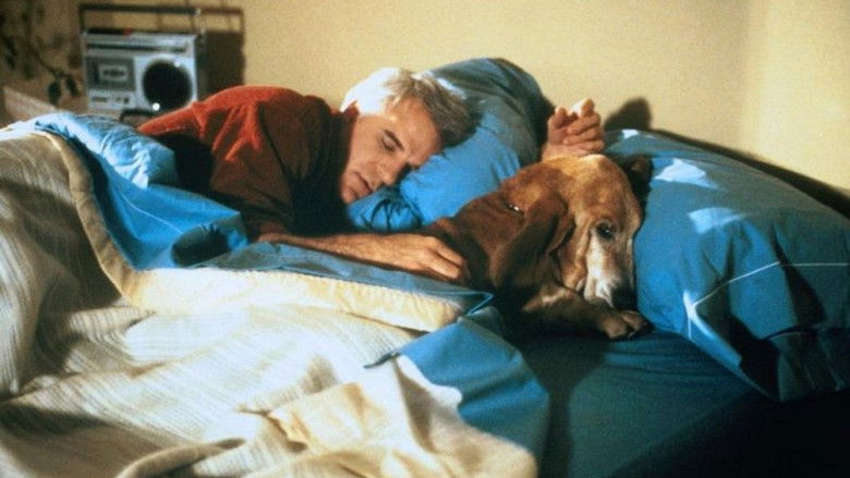 The Lonely Guy still 4