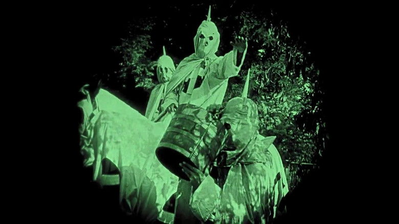 The Birth of a Nation still 4