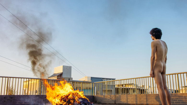 In the Morning of La Petite Mort still