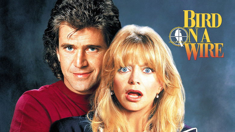 Bird on a Wire still 1