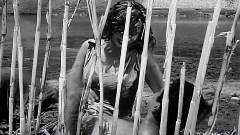 Struggle on the Nile still 2