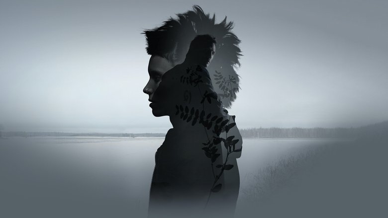 The Girl with the Dragon Tattoo still 1
