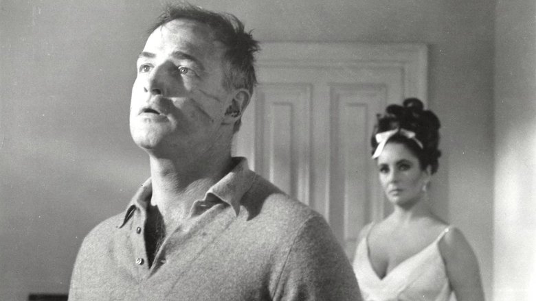 Reflections in a Golden Eye still 1