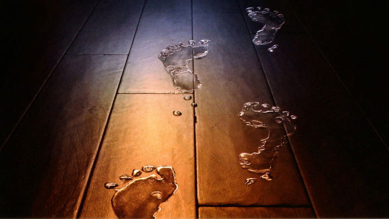 Lady in the Water still