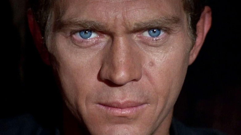 I Am Steve McQueen still