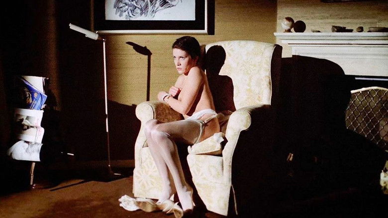 House on the Edge of the Park still