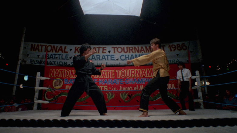 Karate Warrior still