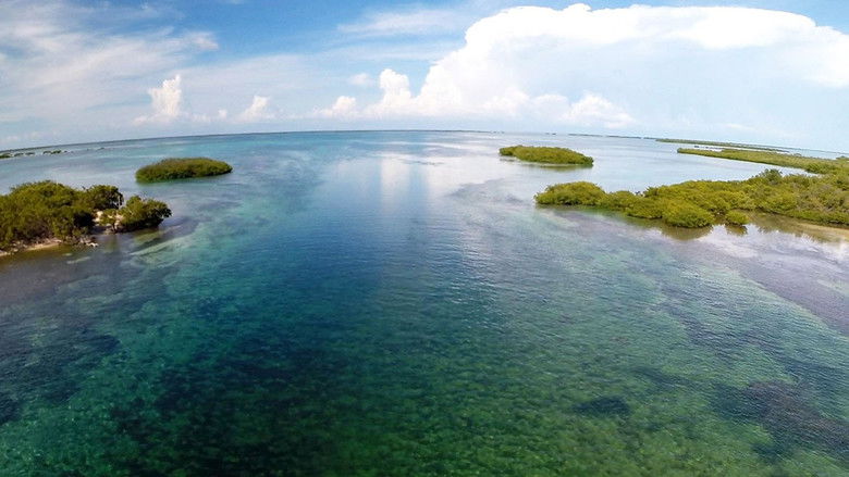 Castro's Secret Reef still 4