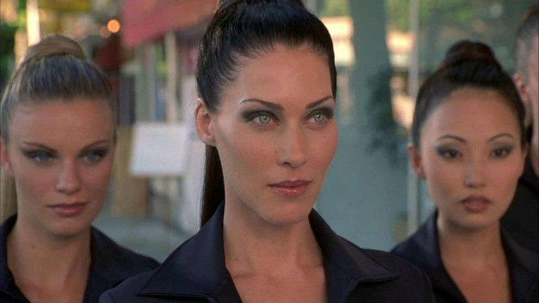 Dude, Where's My Car? still