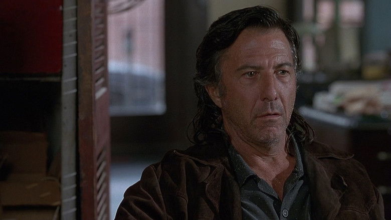 American Buffalo still