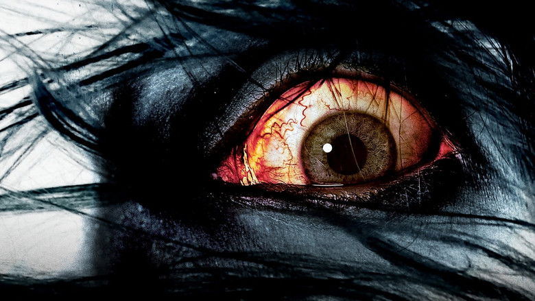 The Grudge still 2