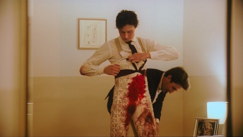 Afternoons of Solitude still 1