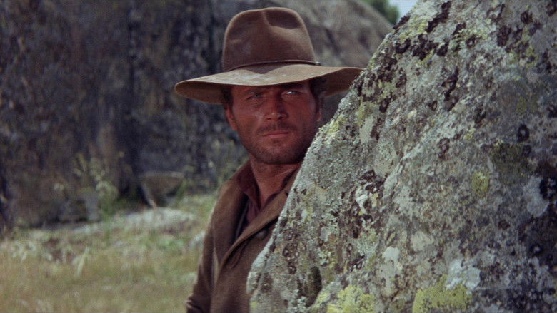 Texas, Adios still 1