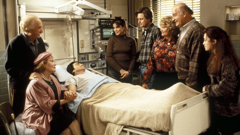 While You Were Sleeping still