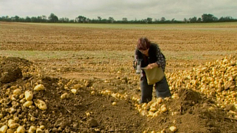 The Gleaners and I still