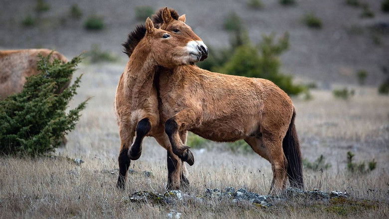 Living Among the Living still 1