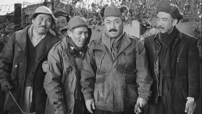 The Coachman still 1