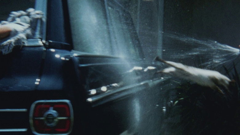 The Perils of Priscilla still