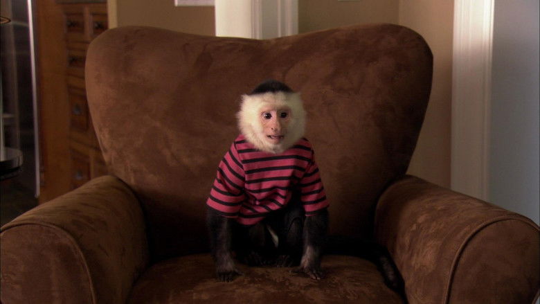 Dr. Dolittle: Million Dollar Mutts still 2