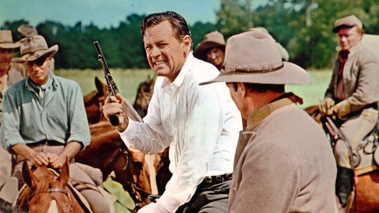 Alvarez Kelly still 1