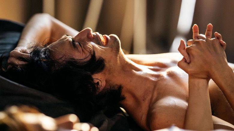 In the Morning of La Petite Mort still