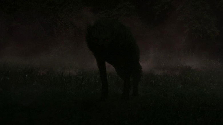 Lady in the Water still