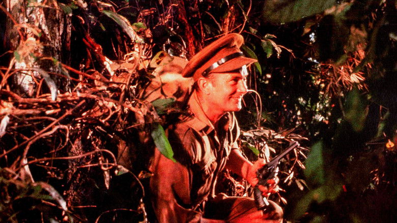 Too Late the Hero still