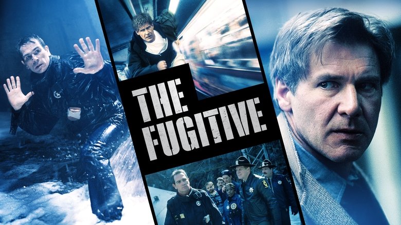 The Fugitive still 3