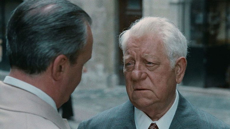 Two Men in Town still 2