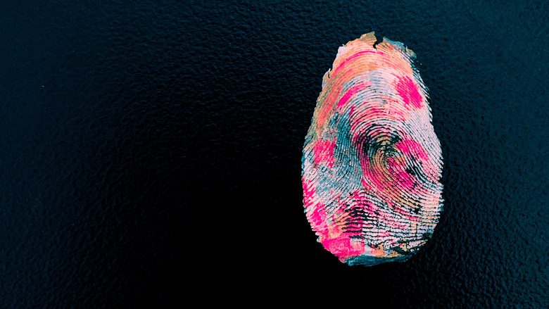 Shadows of Youth still 2