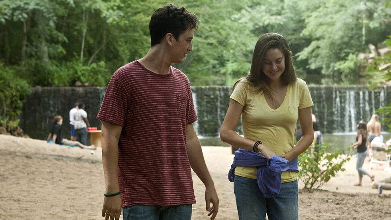 The Spectacular Now still