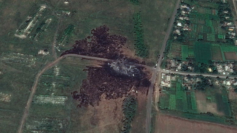 Iron Butterflies still