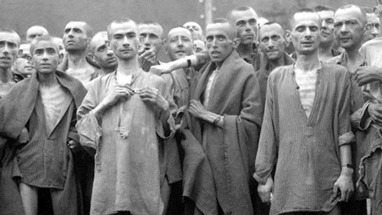 Night and Fog still 3