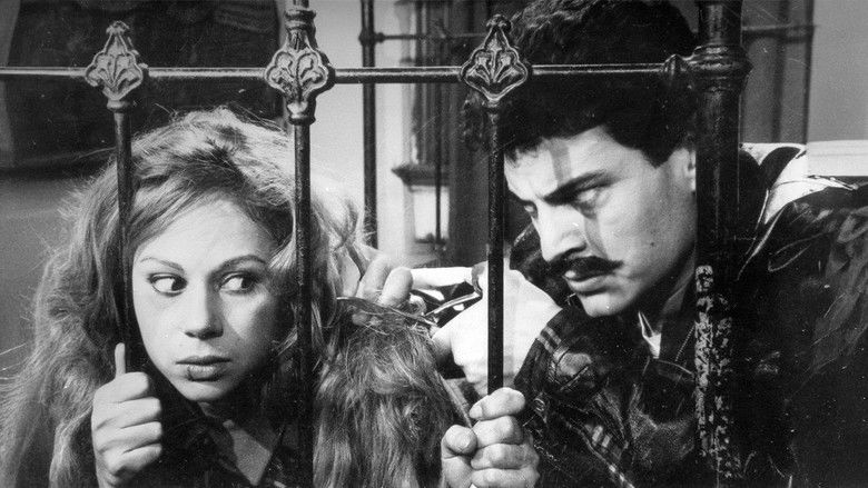 Birds of Exile still 2