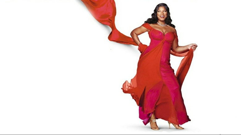 Last Holiday still 2