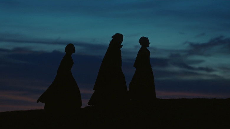 Portrait of a Lady on Fire still