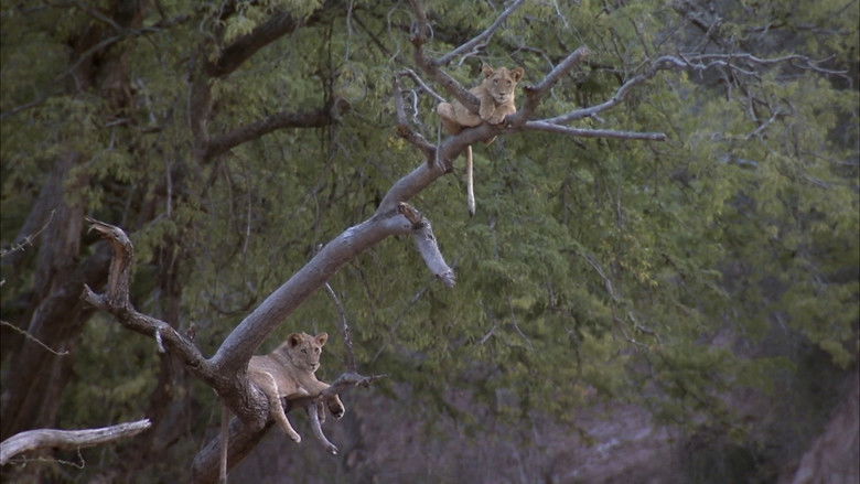 Predator's Playground still 4