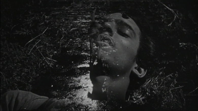 The Young and the Damned