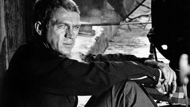 I Am Steve McQueen still