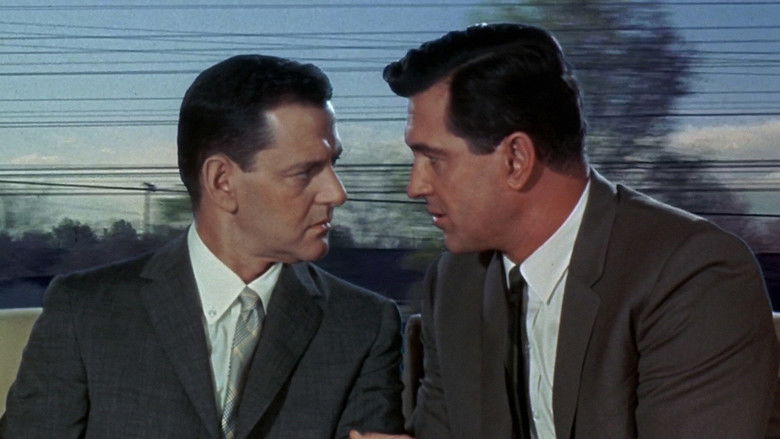 Send Me No Flowers still