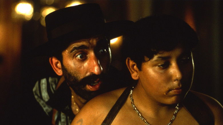 Black Cat, White Cat still 3