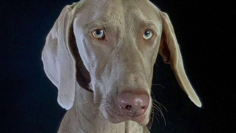 How dogs conquered the world still 2